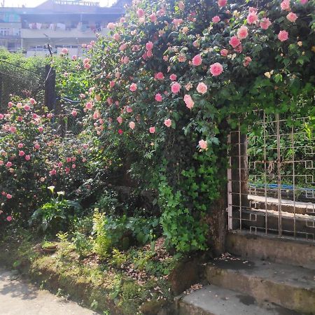 Darjeeling Bnb エクステリア 写真