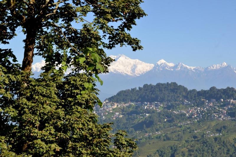 Darjeeling Bnb エクステリア 写真