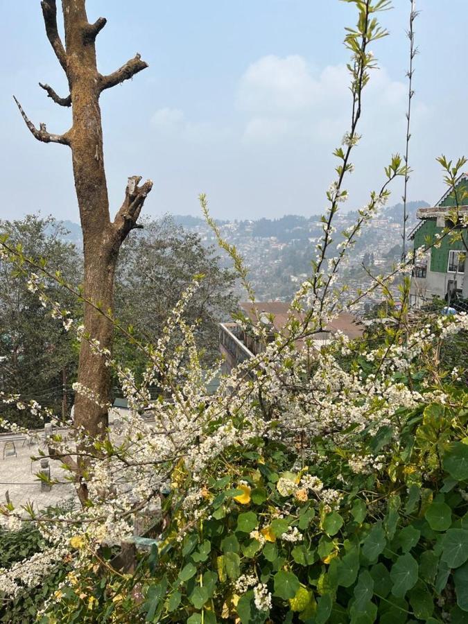 Darjeeling Bnb エクステリア 写真