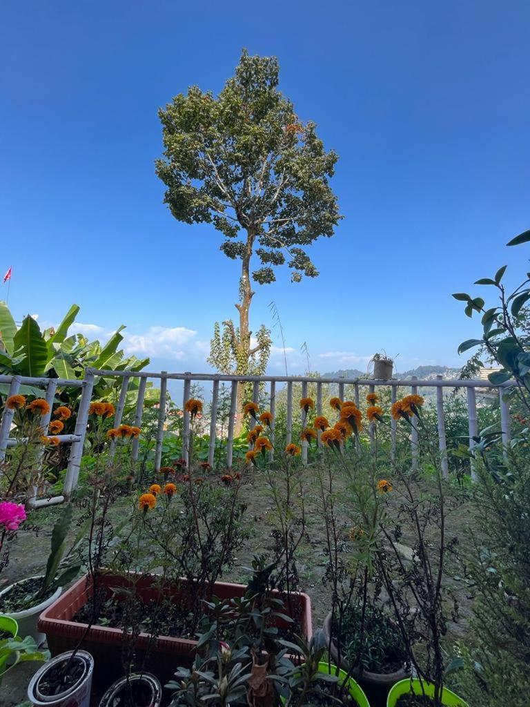 Darjeeling Bnb エクステリア 写真